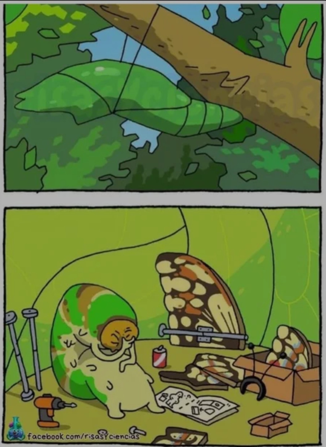 68a823cd-d5a1-4a5b-8ce6-4f1aad6f140c