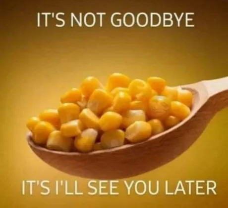 d433b437-ae76-4920-b974-025e449b89d9