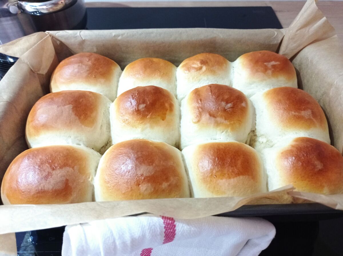 eeddeb72-8673-4b35-ba50-273a4de70843