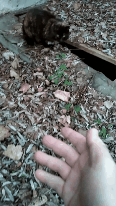 1356ae40-e62b-4230-ba03-003e44db9c7c