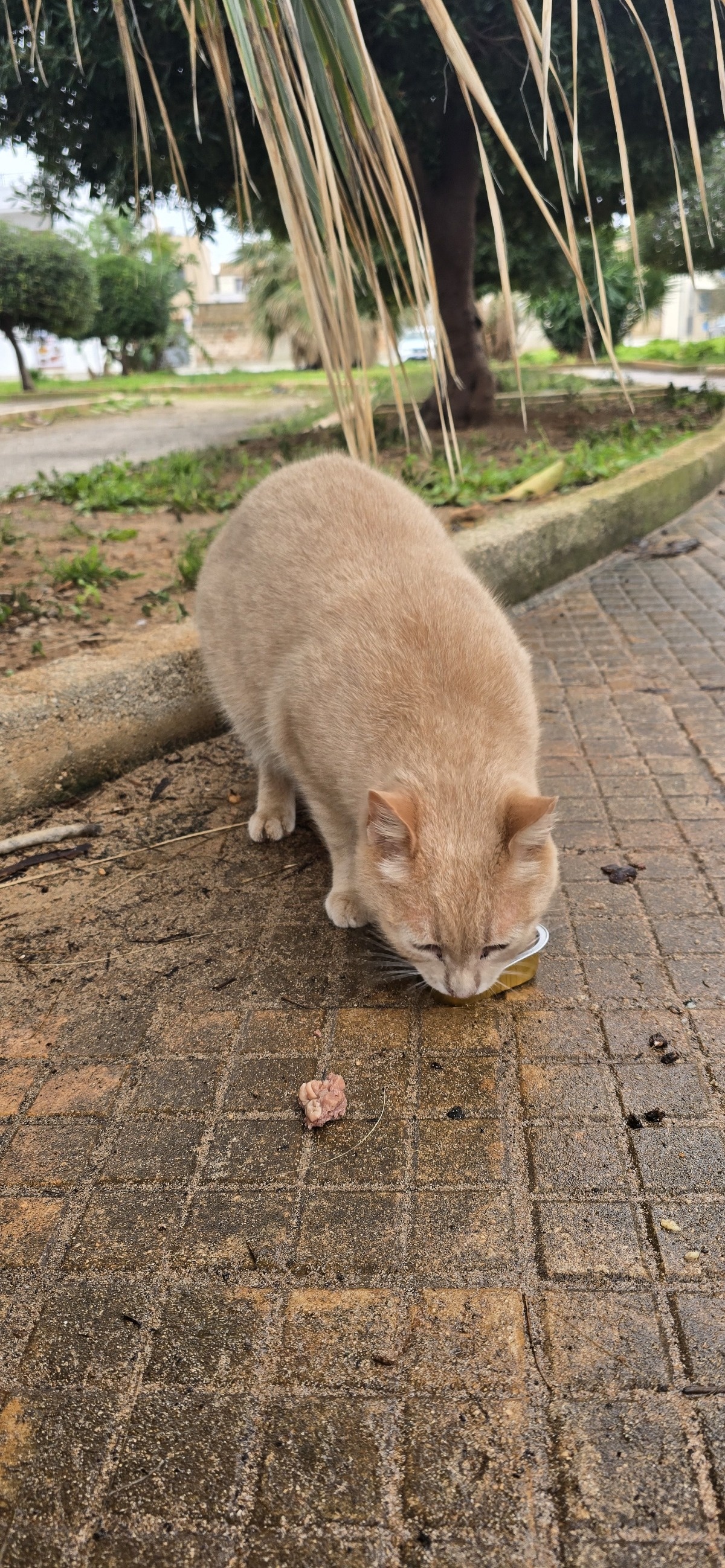 738ec3e3-86de-40fc-b407-a3efcddc7995