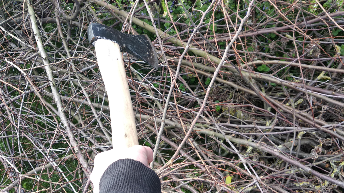 ea051138-13ff-4403-8a7b-2329df287055