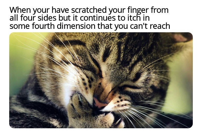 f4e61504-e8c5-4e58-8dba-dc0c29bd9c34