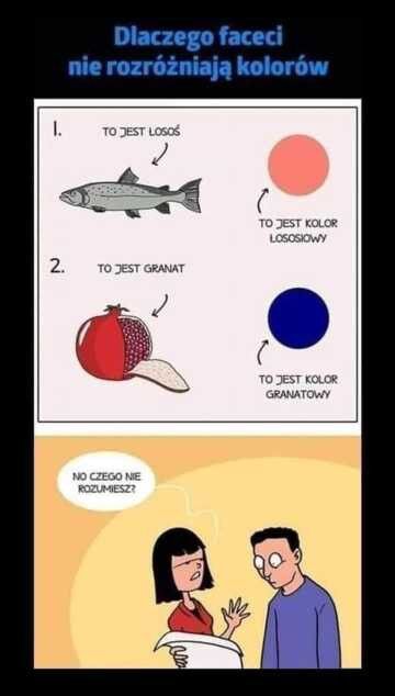 1df6ef70-c242-4ea0-85df-b00157a5dd74