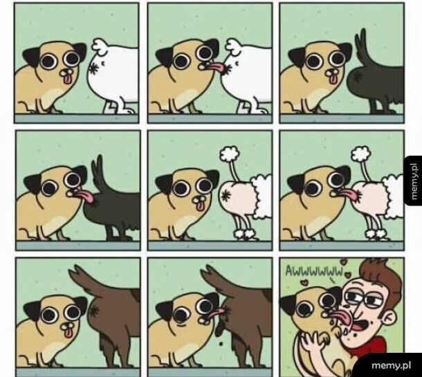 c2ebe63d-a2f7-450f-8098-428b57028ce1