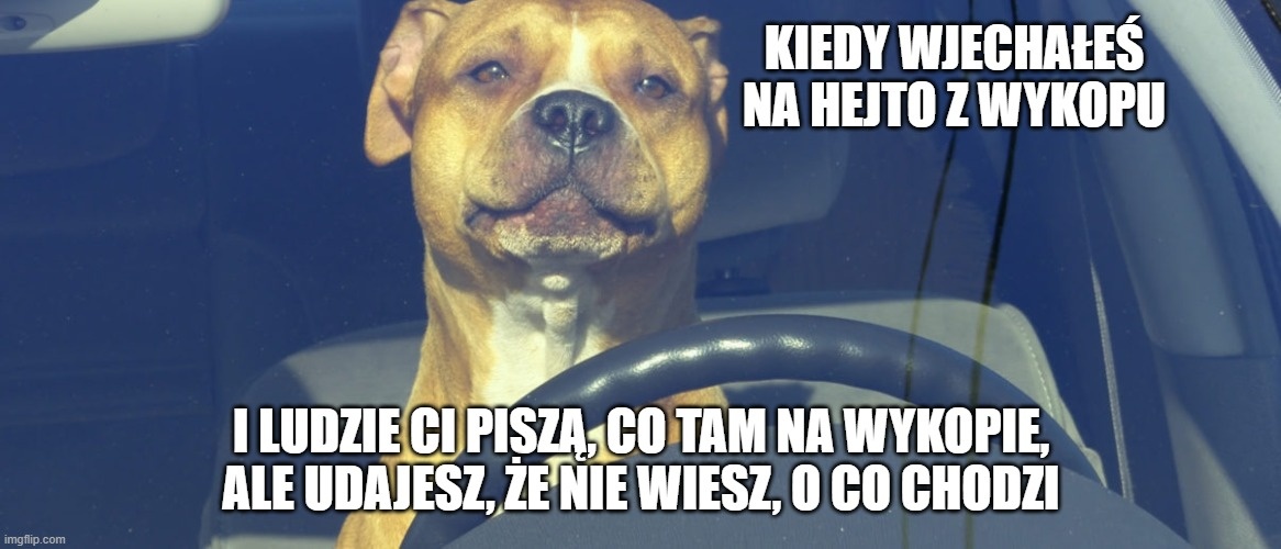 f3ba84b9-fd3f-4861-a201-45a929cbf0a7