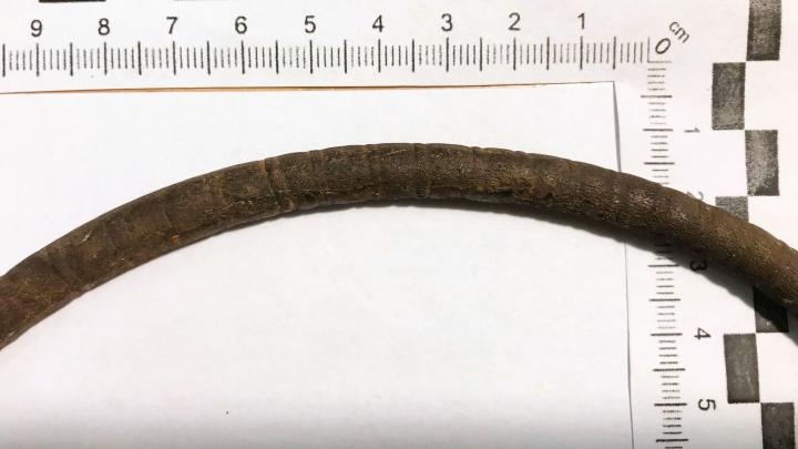 Warmińsko-mazurskie/ Na pastwisku koło Ełku znaleziono naszyjnik sprzed ponad 2,5 tys. lat