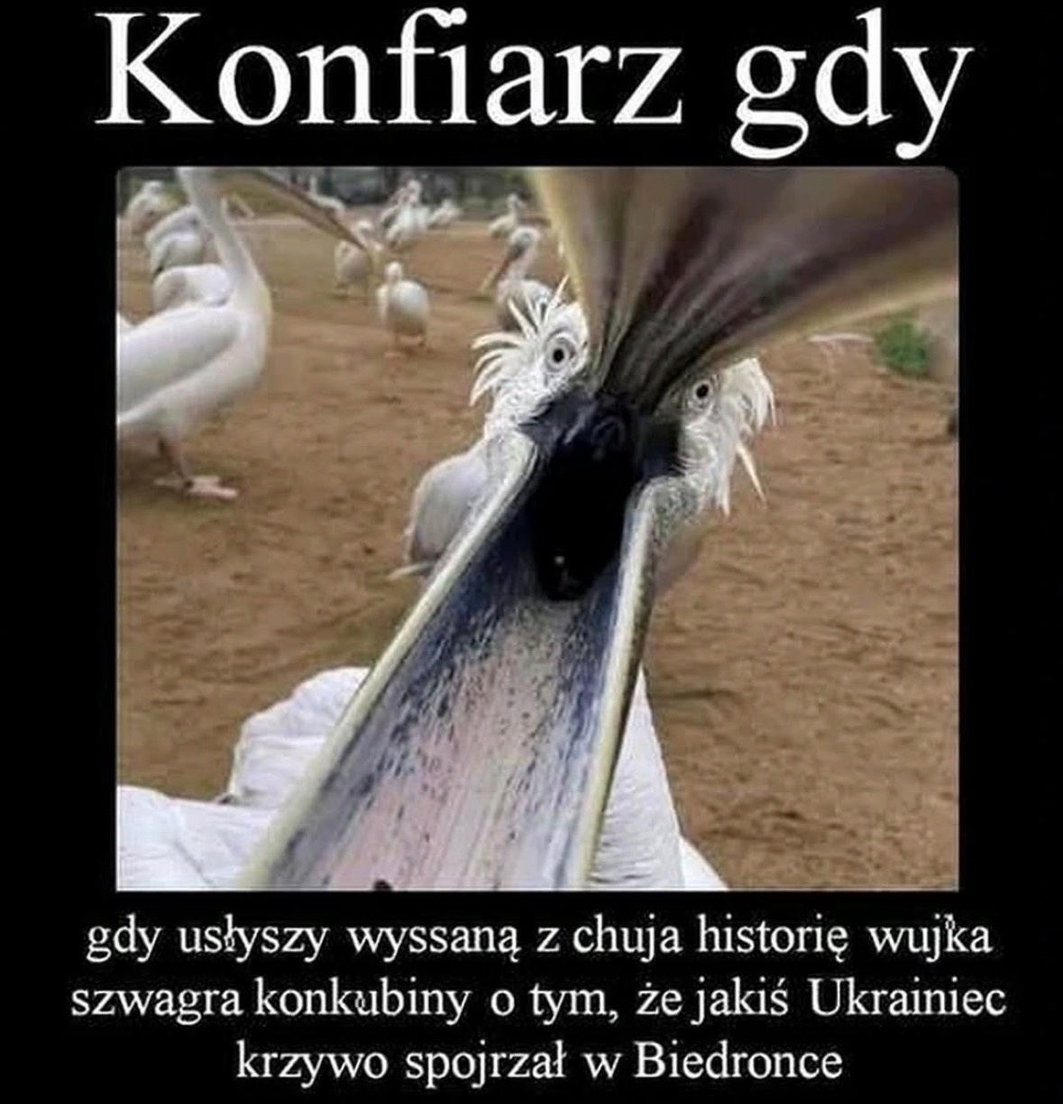 983a6783-3257-44a6-84df-98c98ac80299