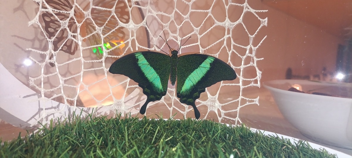 41ce3804-5cca-47a4-835a-b75f6c769e94