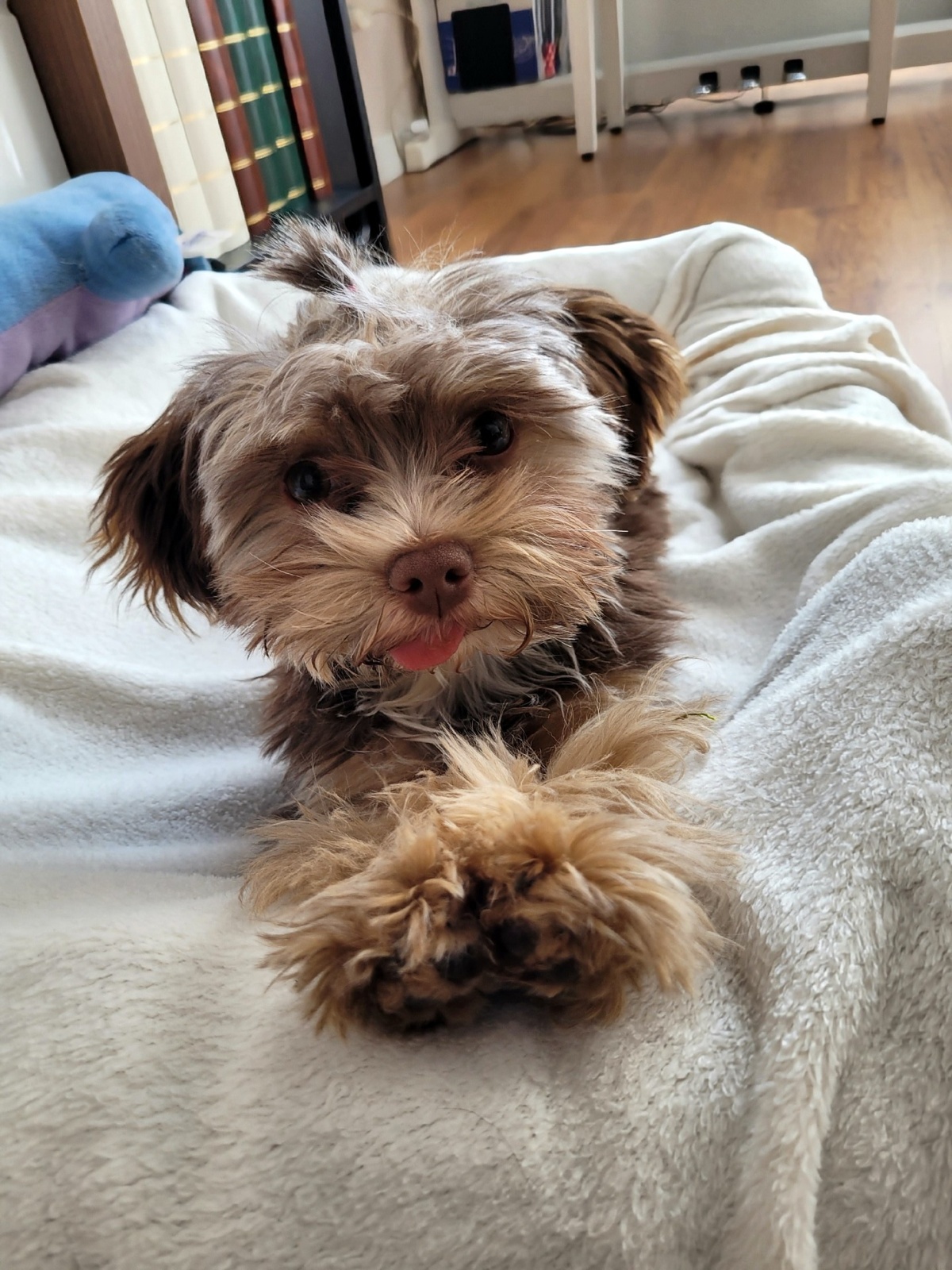 2332c2cd-6a1f-4ec8-a9d2-045f44a64789