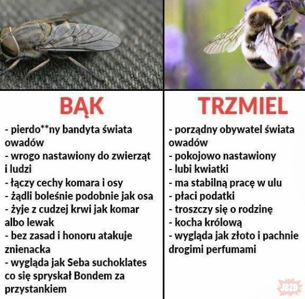 7201dded-db26-43f7-aa18-9b052a294ae4