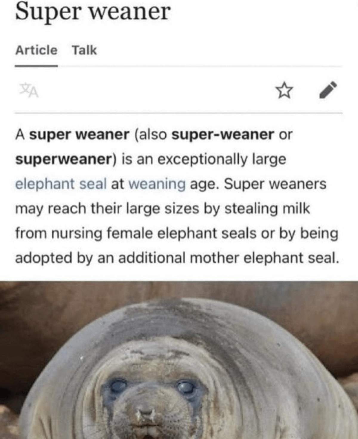 cc1952fa-c208-4ed8-acbe-dfe4f693fd6d