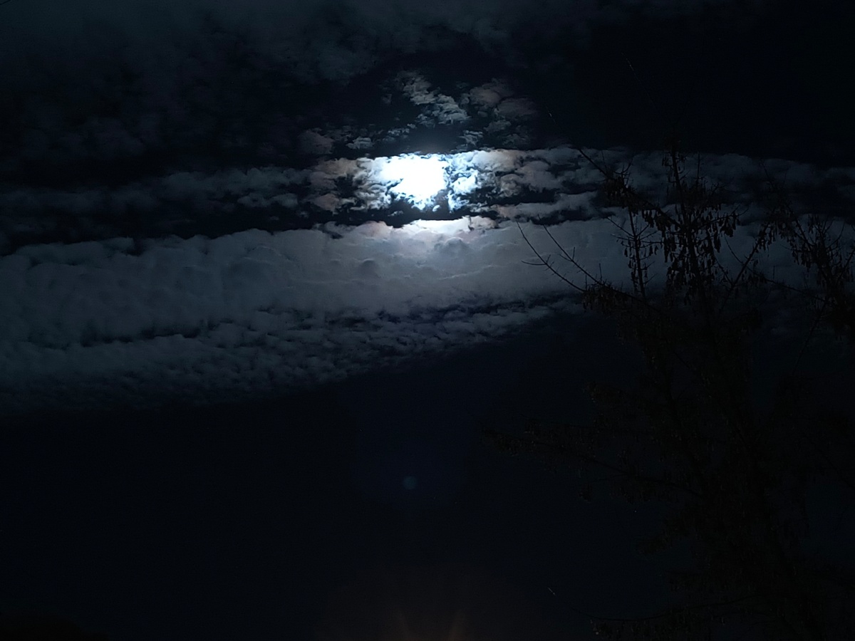 8359a08a-0b1f-4487-a8f1-f57e45be1bf0