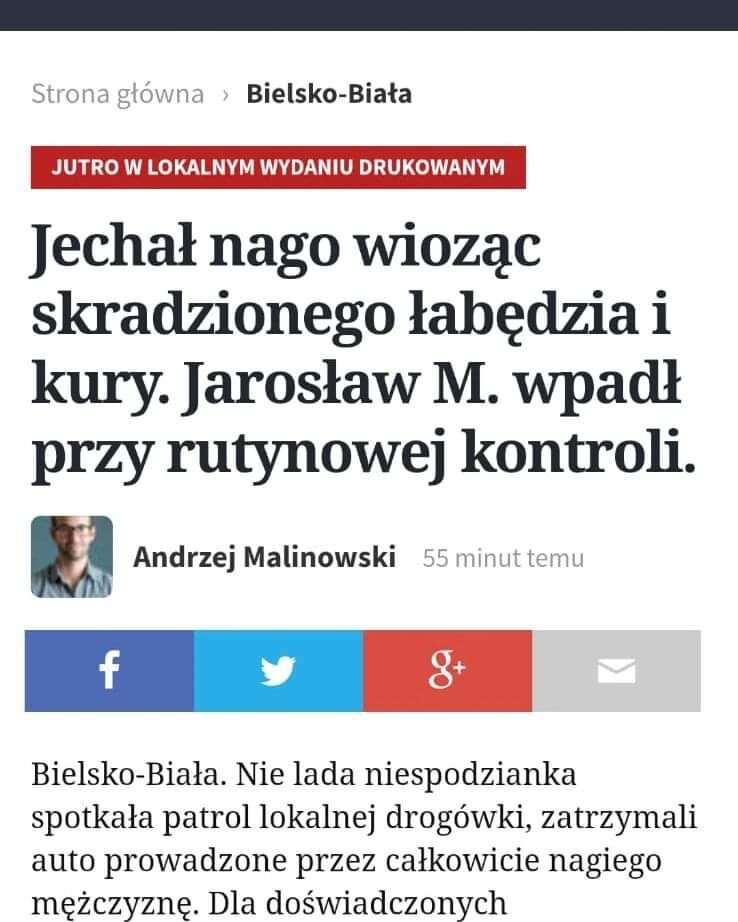 86d82655-2705-491d-84fc-ae388e3de1ef