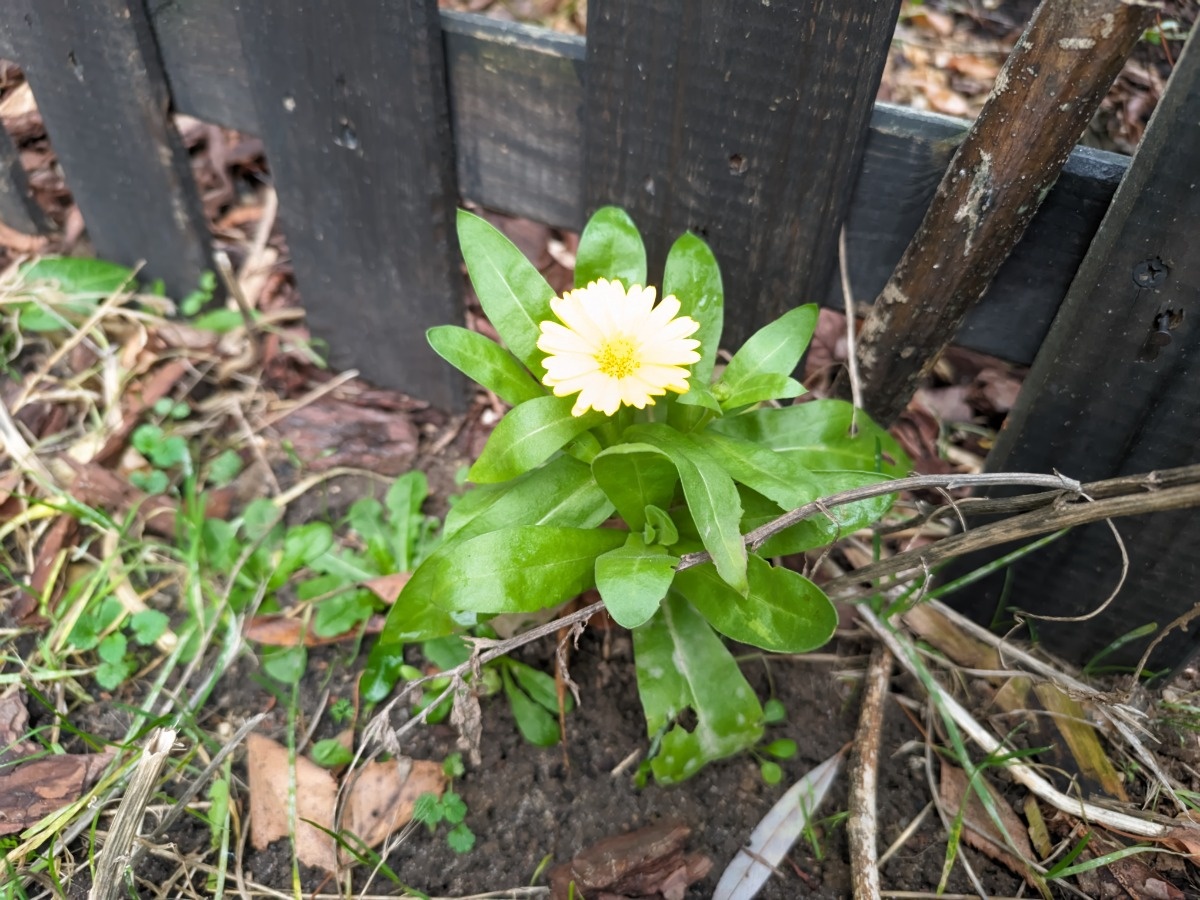 5d1afecb-d825-47d7-a88e-71a6d6b773b0