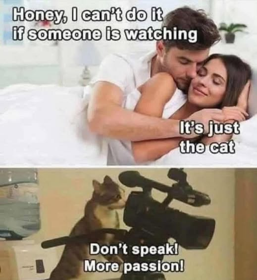 2b217fe2-fddf-448f-8504-0ed536d3d3dc