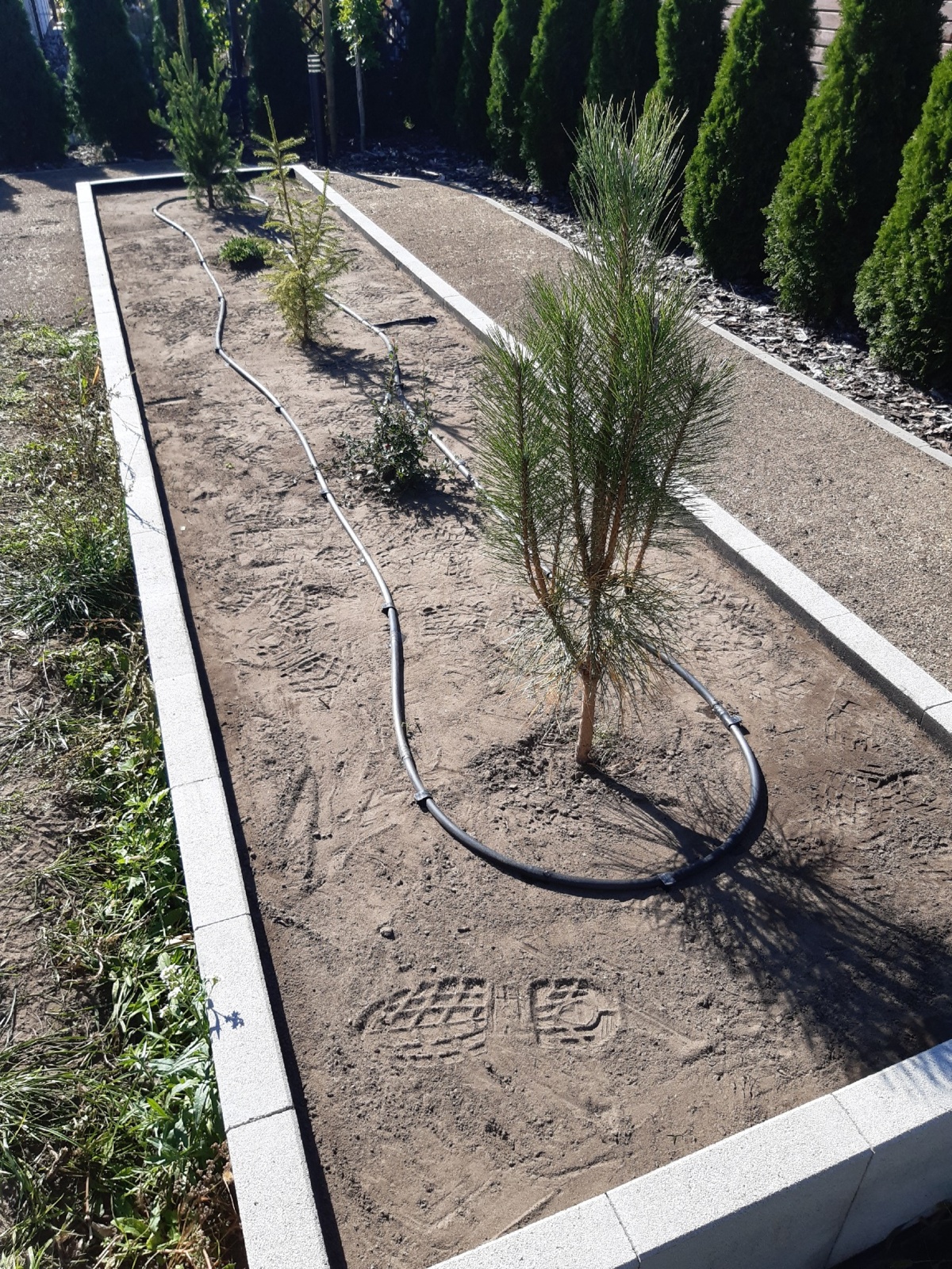 f9d6799a-70e1-4b7e-a38c-2290e38fe49b