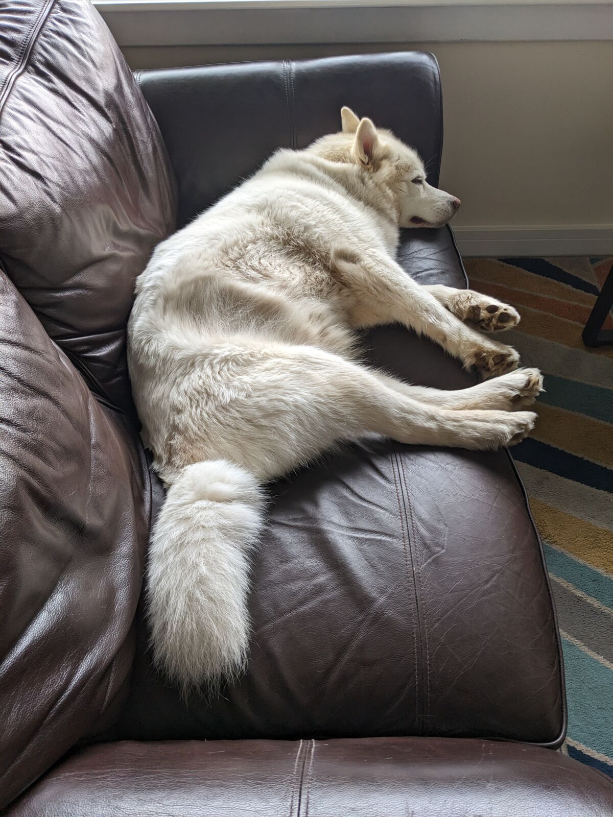 a95a8ad5-31b1-43ec-9eda-f25d81c05cac