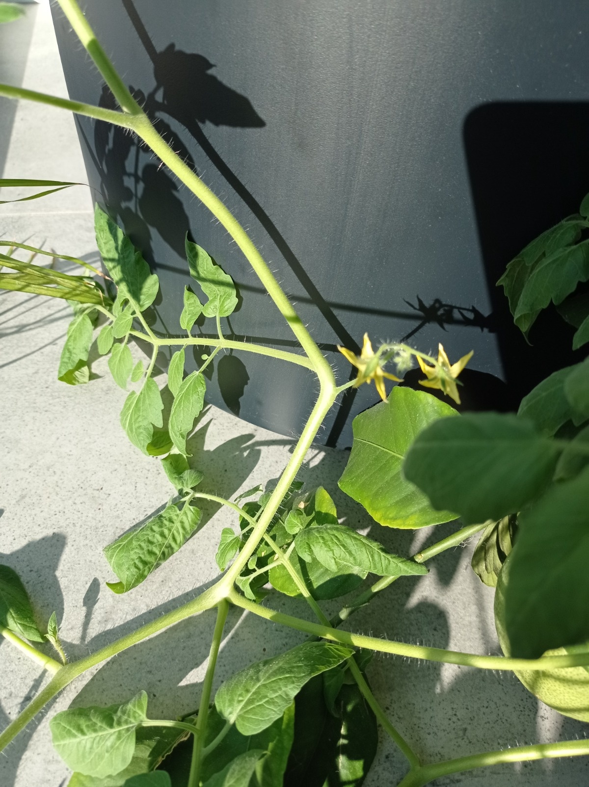 e8c0c48d-1b66-41a8-aef0-4e2d1121558b