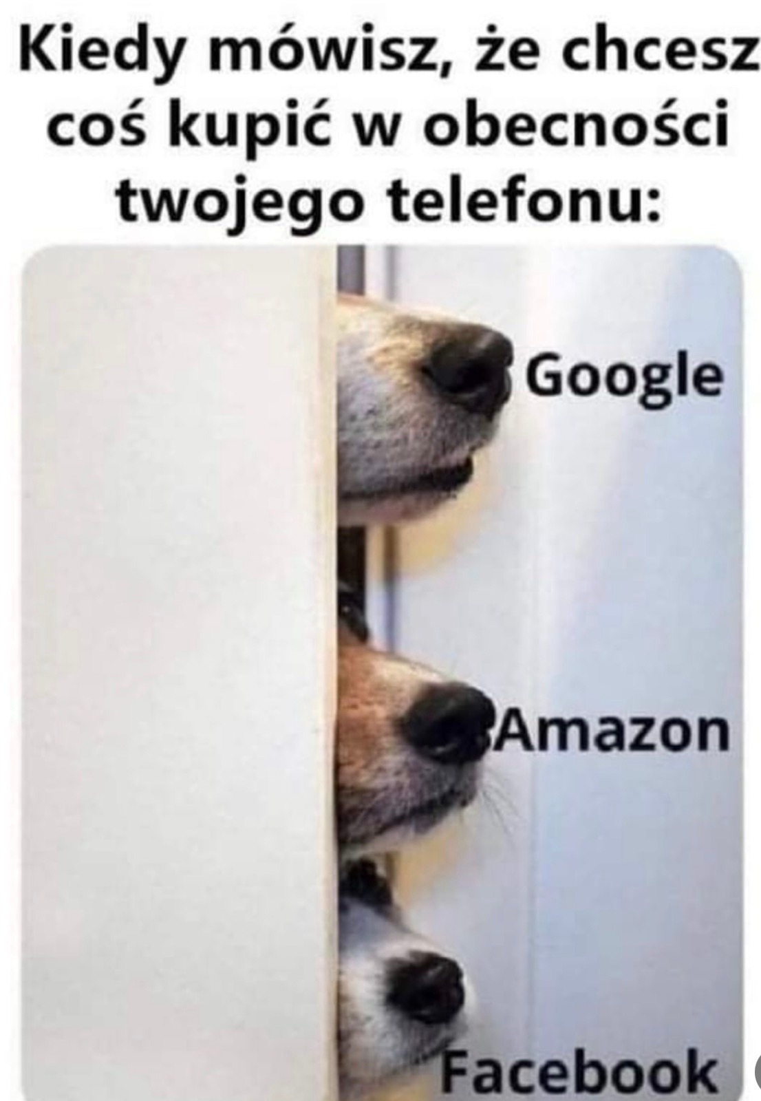 f2febacc-ebcc-4547-b221-040f1d96948f