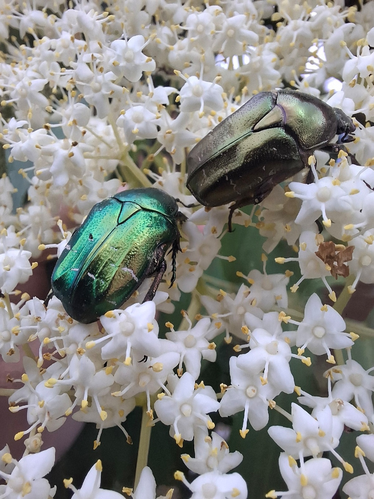 50f6c8f1-2423-4acb-8e00-8571bf27c861