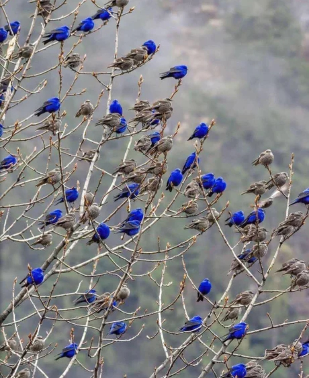 a2236db6-652e-4644-bf89-13eaf8d61564