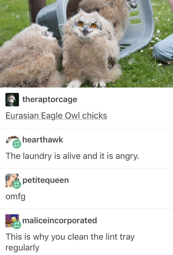 6f870e6f-4f2d-43e4-8b39-d82382d66426