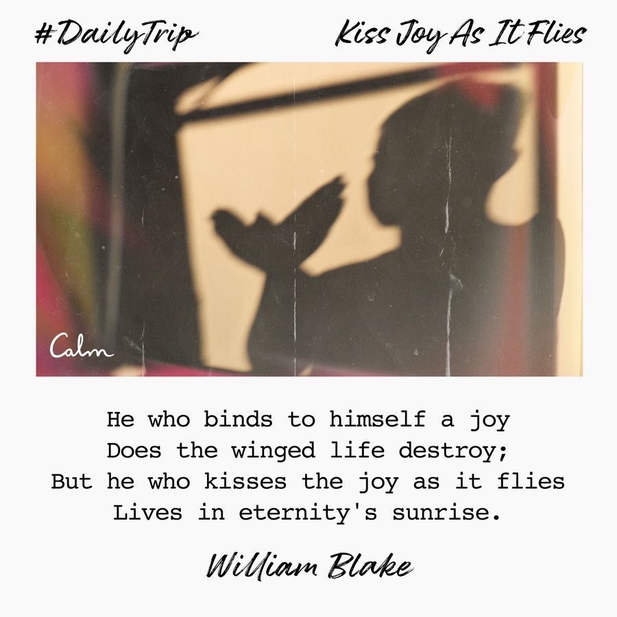 745b03c4-6a5e-44e1-b1e1-a54f5bba9896