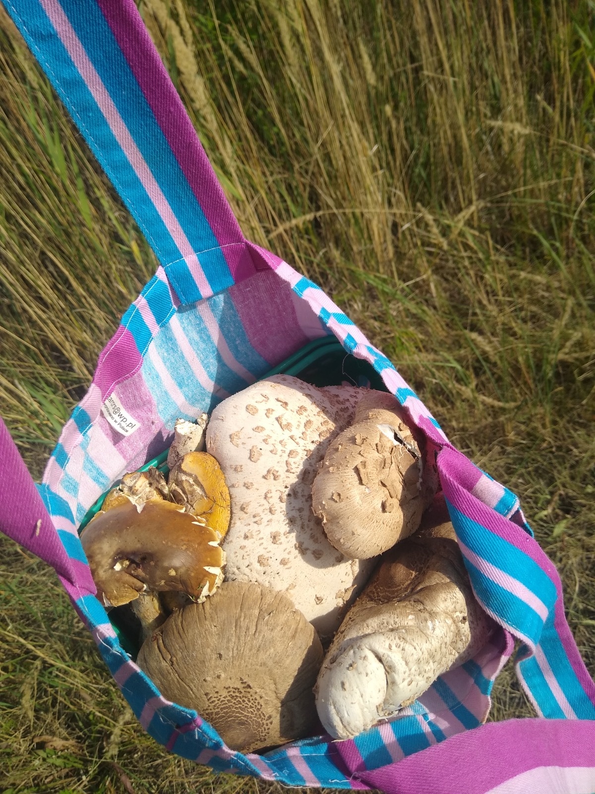 84ef3d1a-6482-467a-b235-56d1b56c1300