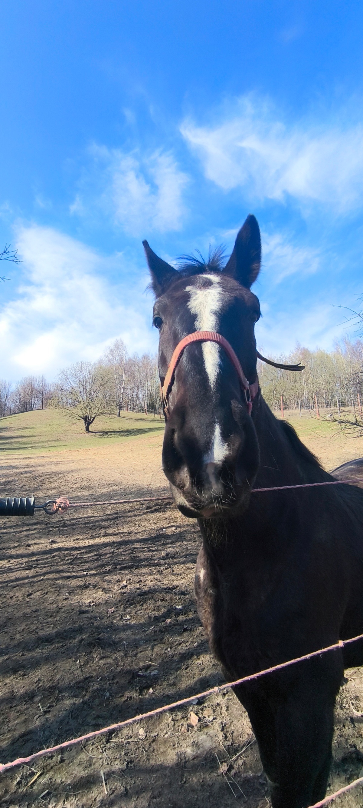 05eaf29f-e970-43ae-bb78-9d3662670efd