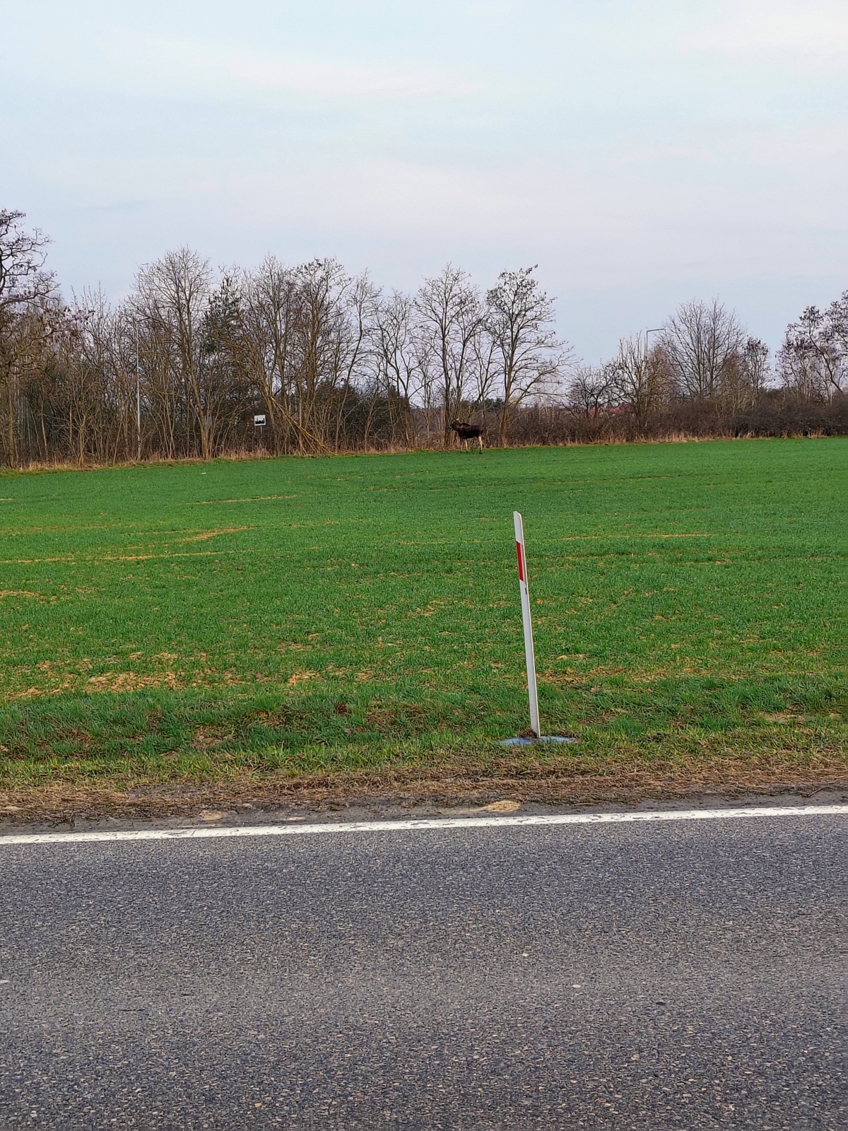 813c41ac-2374-424e-8f41-2fc39c7fa9e4