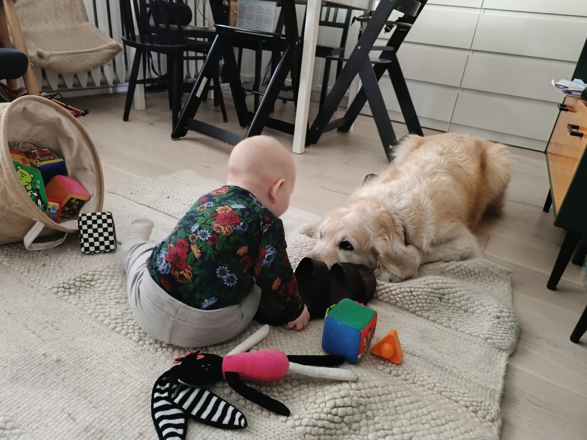 a4556795-77fb-4752-b904-b62c2789eda9