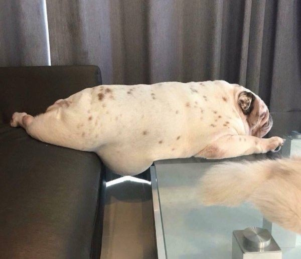 d2153350-9bb5-4686-80a4-a7084c2cdfc6