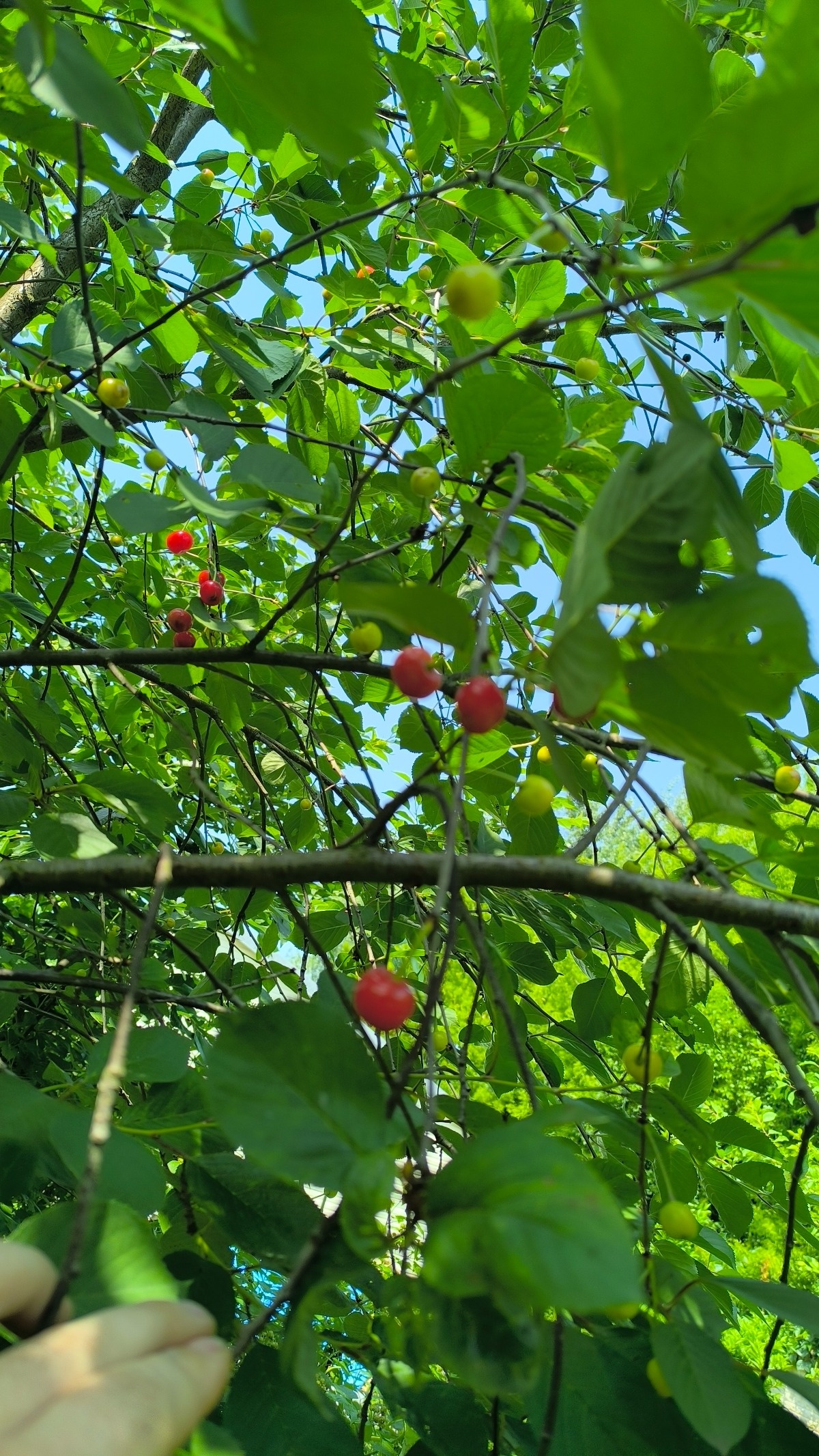 b9136bd7-e5f7-4fd7-8578-799dcf4fbef7