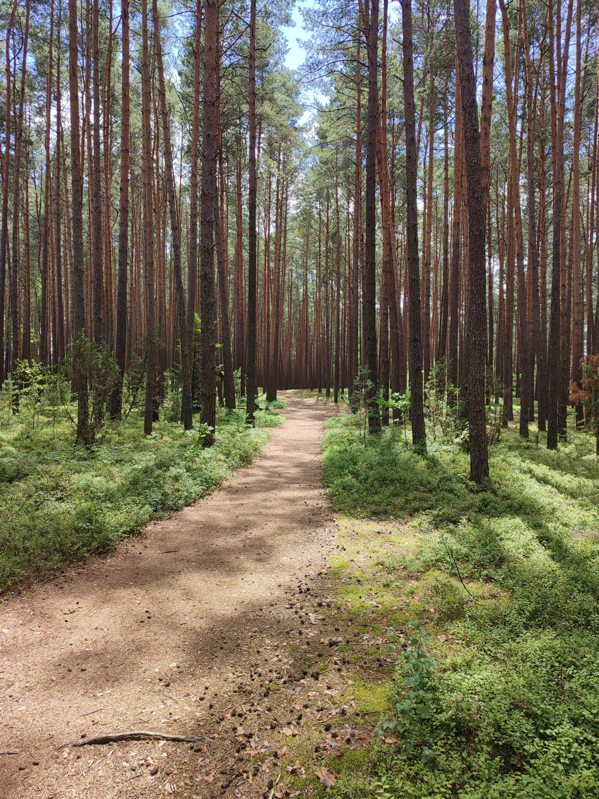 4823a4bc-34a5-488d-a28b-bd36eddc20ea