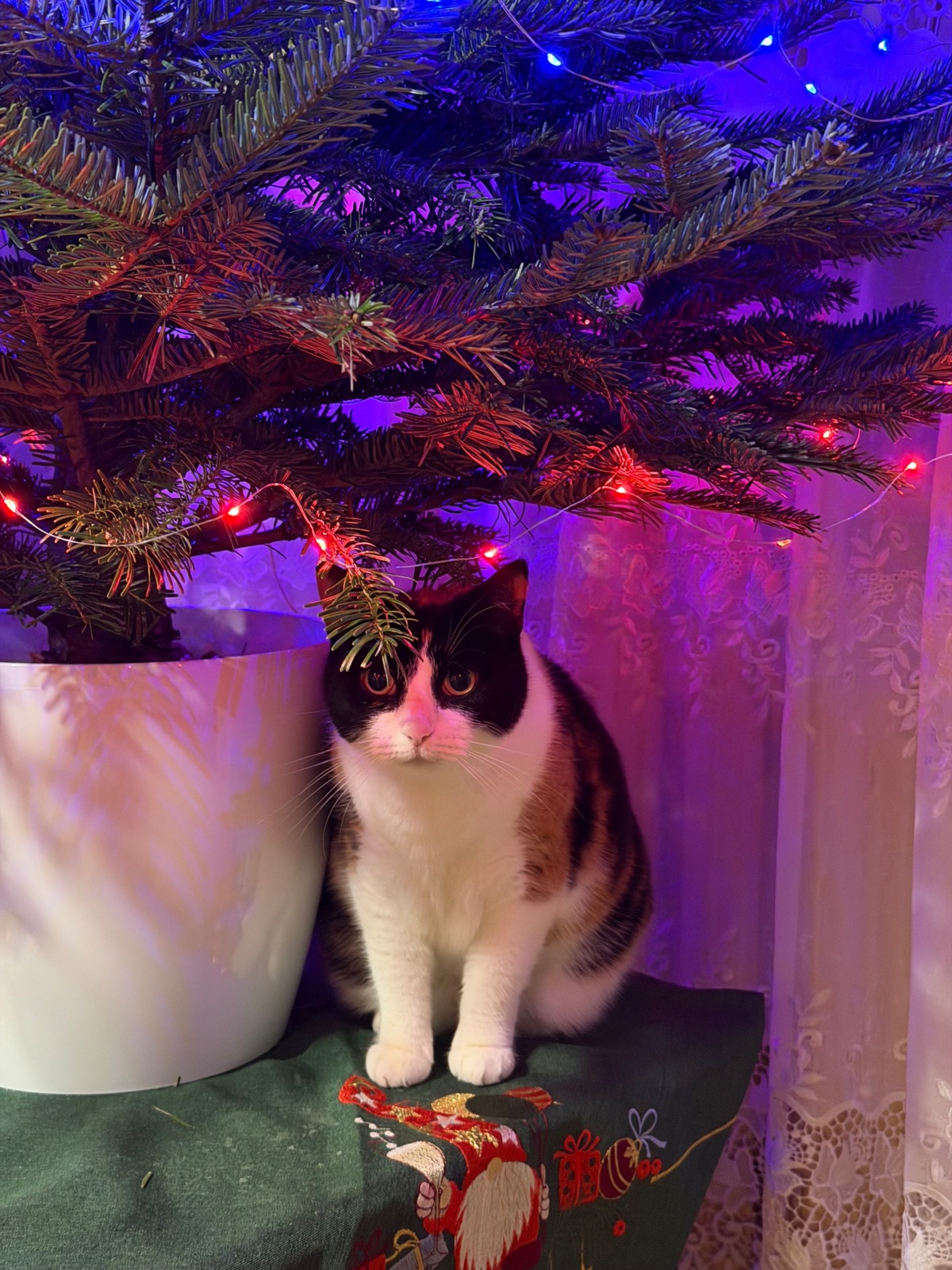 7448bd56-83a2-482c-9e7d-7170c218c9f9