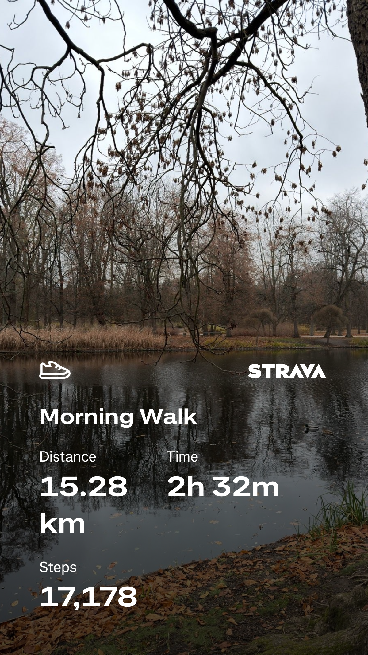 568e92ab-7047-4fea-898a-dbbcd29d5bc0