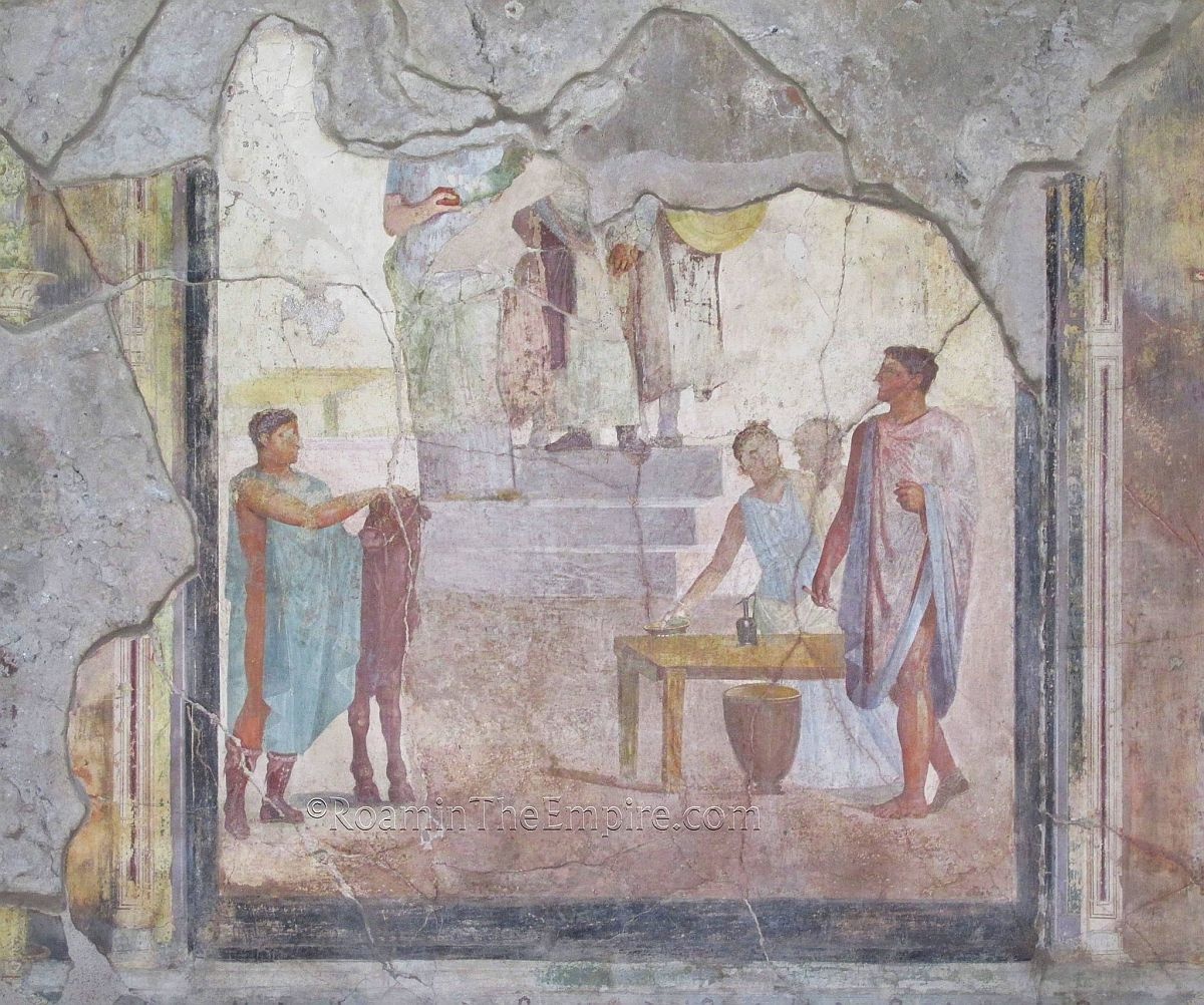 fc63a7e4-0480-4f05-8442-772448fddc41