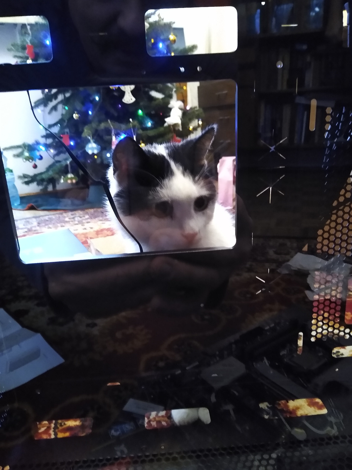 3cef9d43-f45c-43d0-9afc-6ac4141d192c