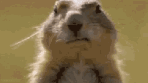 cb54fcd1-4bf8-4d47-a34e-e018baf9d909