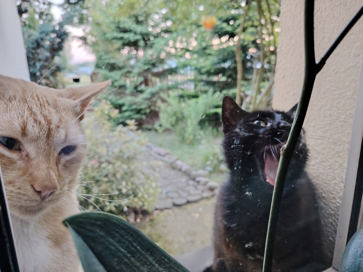 b1365968-3d81-4ee6-858c-f054535bbb28