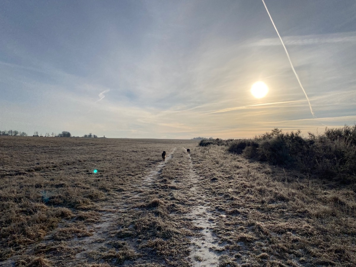 170c6db0-5c38-4bb1-8e2c-c4e0ae32ad8c