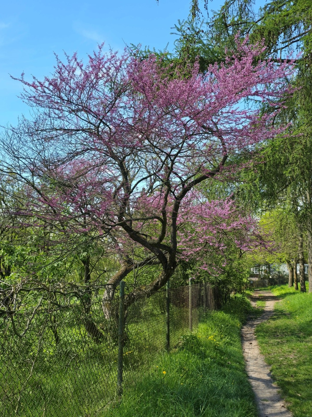 5eb67d8d-f834-48b3-a978-ae29856fd396