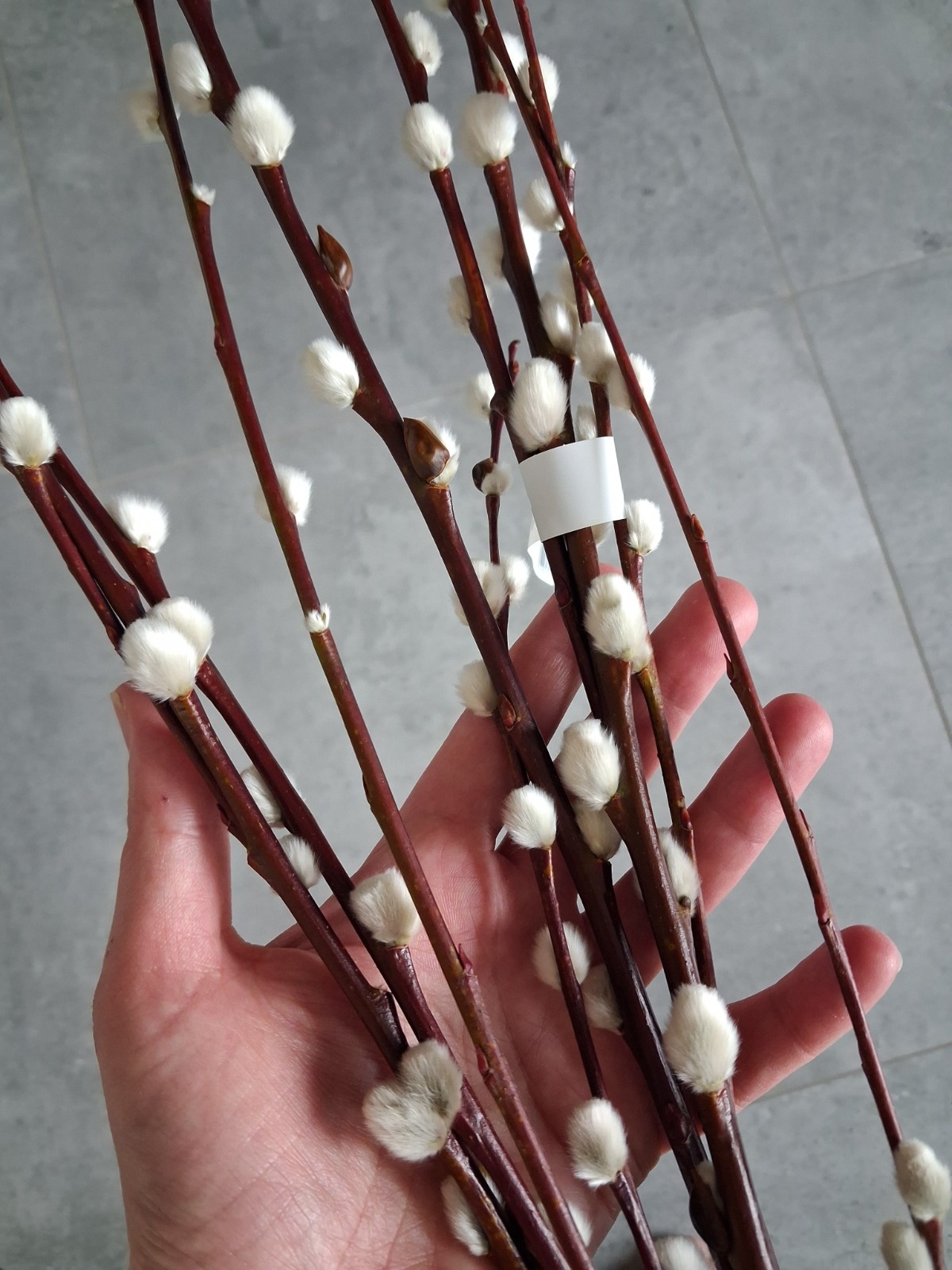 6ca71118-f888-4404-bf87-fbef0aa9c492