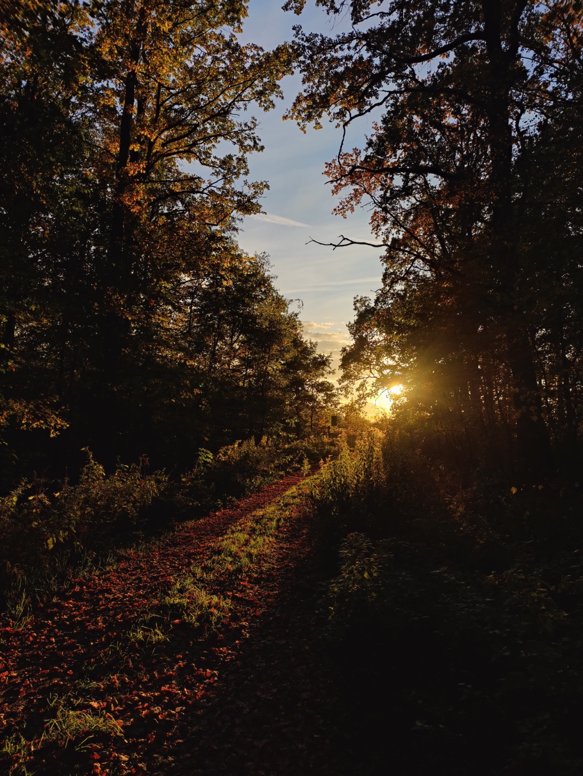 fba4dbc6-b579-4633-8032-10076e035691