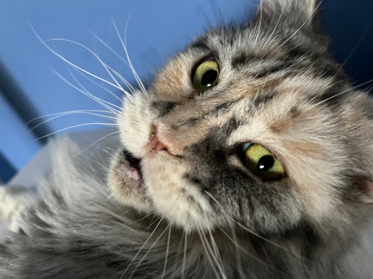 130f8eeb-ff80-4f3f-b6d7-653d38bb8195