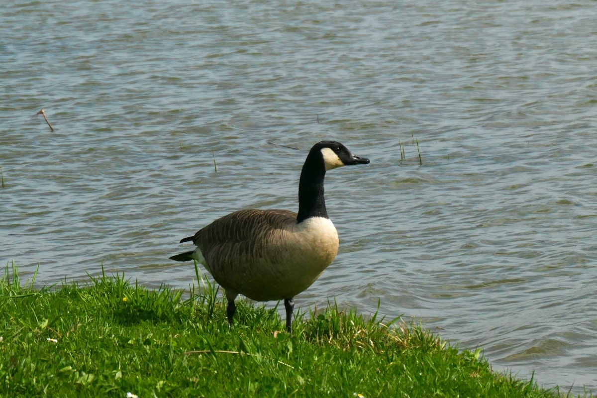 edb43f0c-5707-4993-af5d-826f1a4e922c