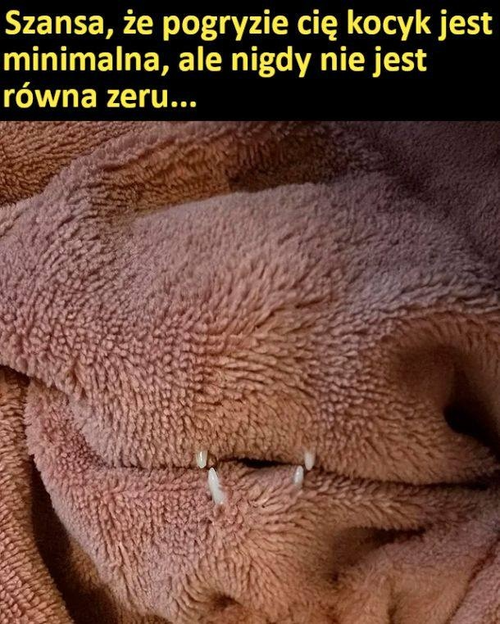 71418cb7-c860-4562-87a5-13982e233b08