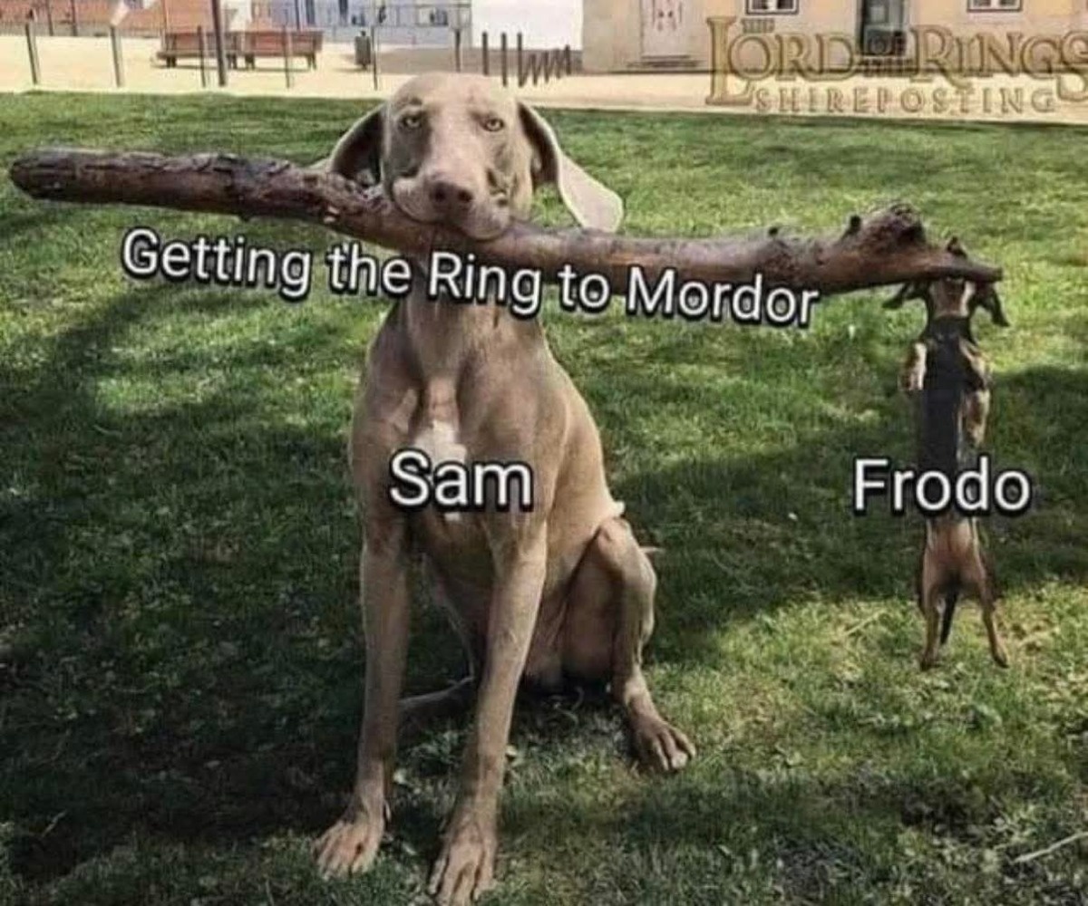 6b19b179-ee08-422c-8a3d-009194ffab60