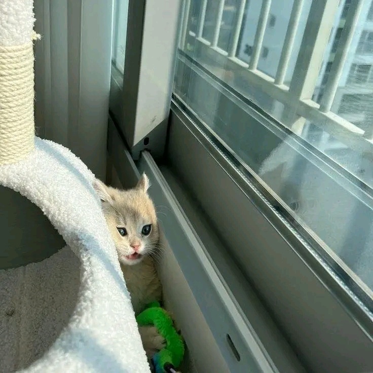 75452d77-ecbc-419d-a679-7aaefcb8ca7e